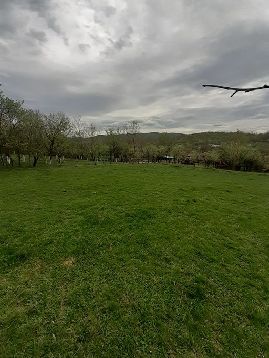 Teren sat.Vîlcele com. Bretea Română