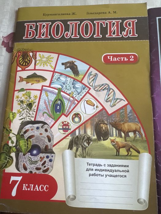 Тетрадь рабочая 7 класс