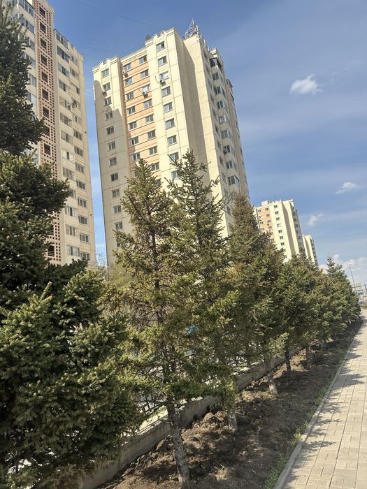 Сдается 1-место на подселение