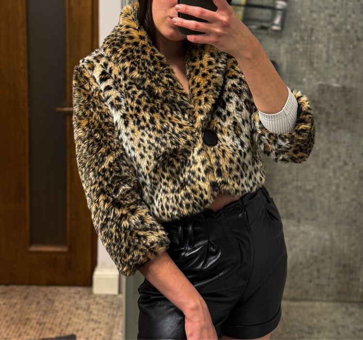 Blana Terranova