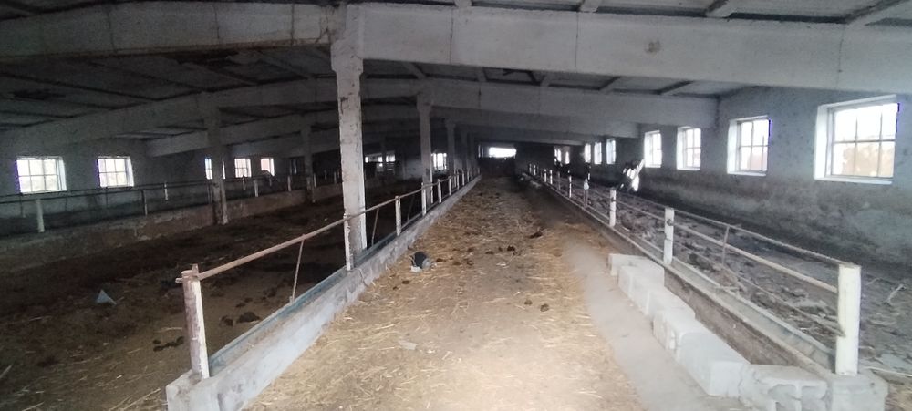 Тошлок туманида жойлашган 4 гектарли молхона бино иншоати