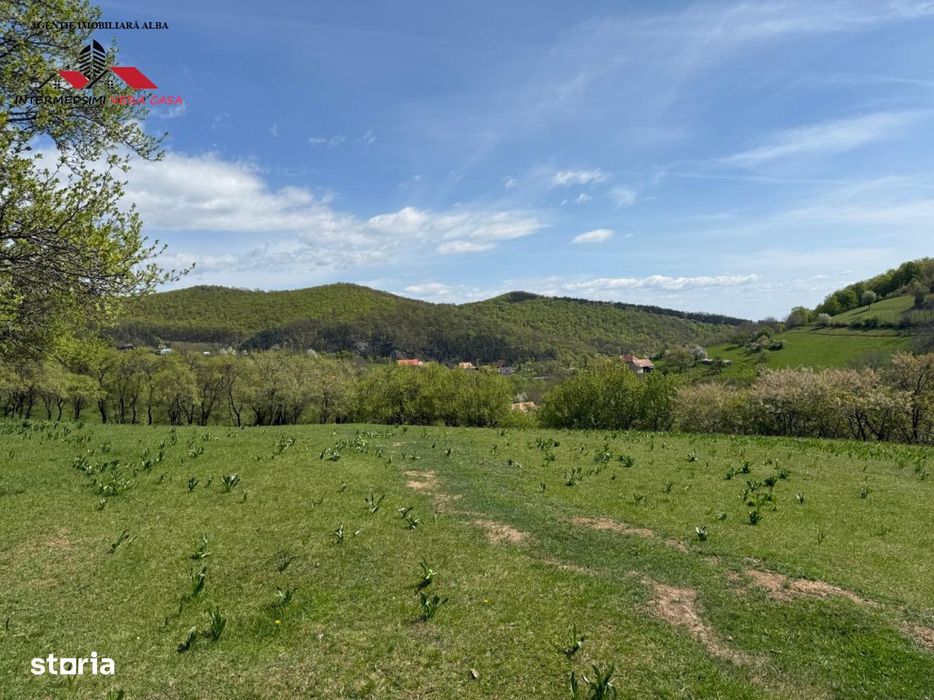 Teren intravilan 8330 mp de vanzare in Inuri Jud Alba