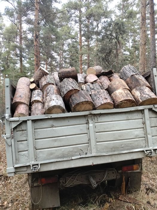 Продам дрова сосна, берёза.