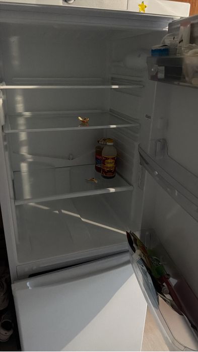 Продам холодильник Indesit