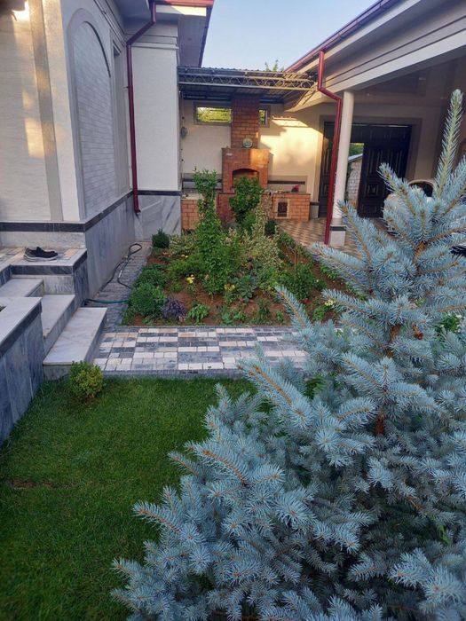 Dacha oqtosh oqtosh dacha quyoshka yaqin 702