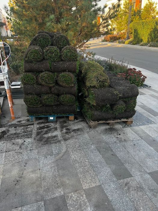 Услуги манипулятора