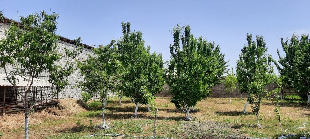 Ер сотилади.Барданкул 10 сотих ер!