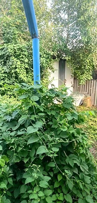 Продажа 3х комнатного дома