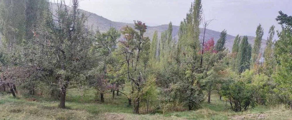 Продается земля 22 сотки Чимган