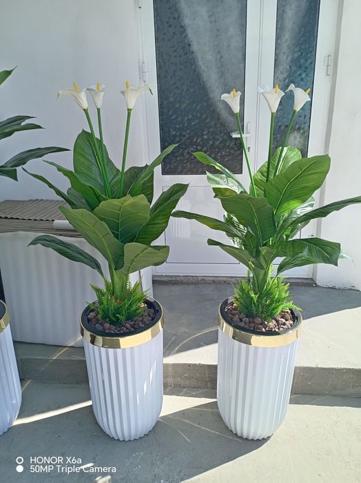 Сунний декор гуллар оптом нархларда.Навои шахар.