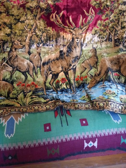 Vând obiecte vechi,de uz casnic,covor,chitara pt.pasta si multe altele