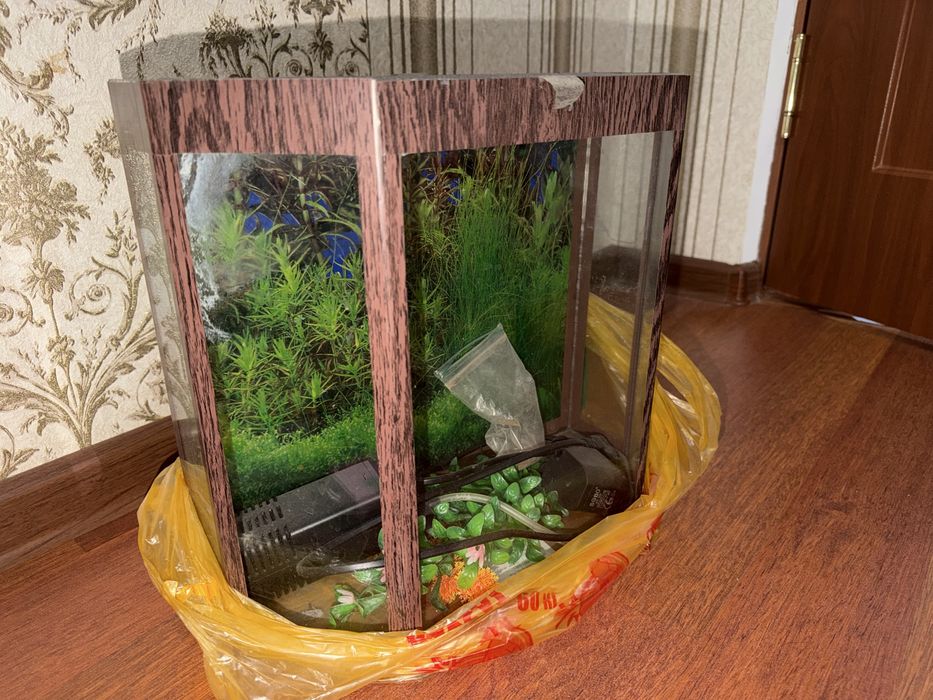Аквариум недорого