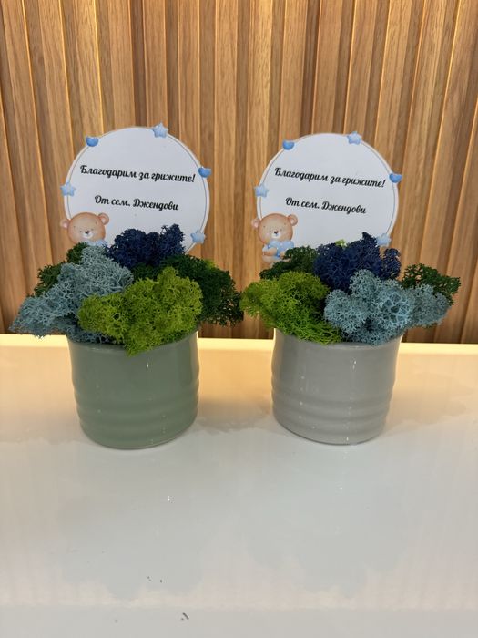 Подаръци за всеки повод скандинавски мъх