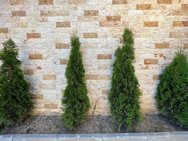 Piatra decorativa scapitata calcar Yellow