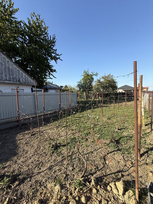 Casă cu 3 camere baie si bucatarie in Cordun