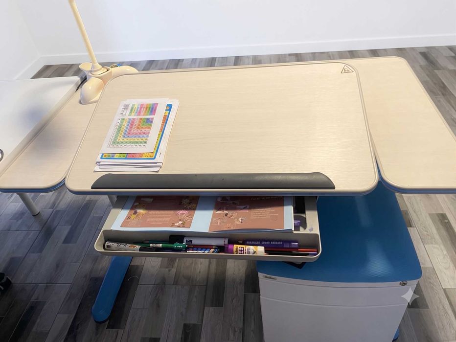 Set complet de birou ergonomic SingBee pentru copii – reglabil, FARA SCAUN