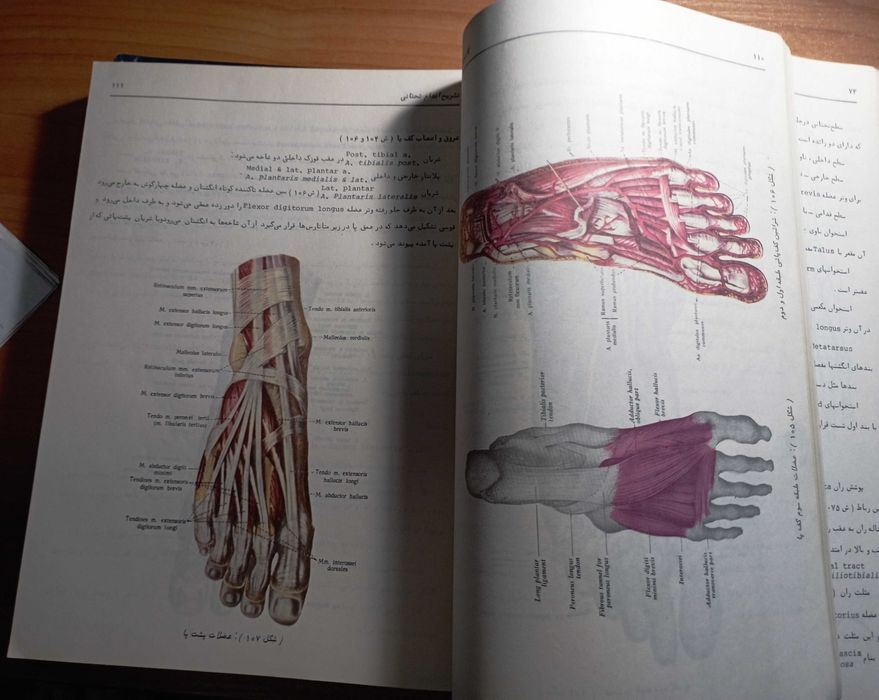 Notes on Pharmacology, Medical textbooks for 1st - 2-nd year students: