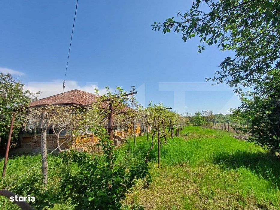 Teren de vanzare, 7300 mp, zona Danesti