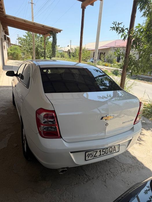 Cobalt ltz  2024