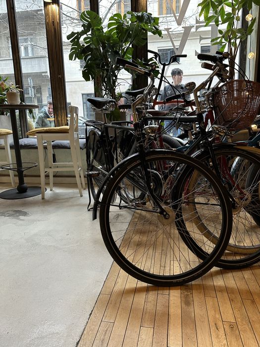 PASHLEY Roadster Clasic