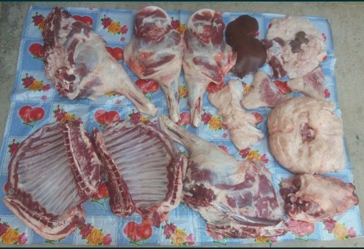 Qassob xizmatimiz Toshkent shahri bõylab