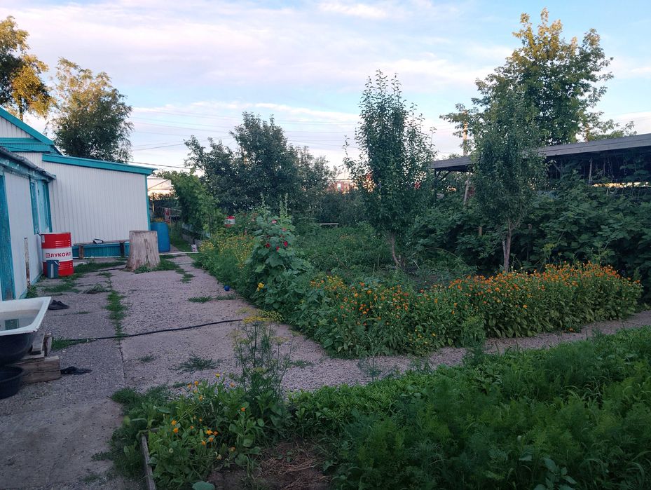 Продам дом поселок Курашасай