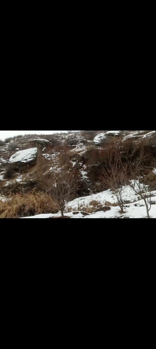 Yer uchastkasi sotiladi