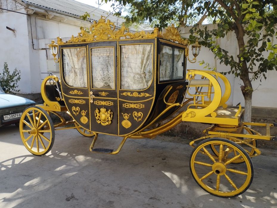 Ot Arava sotiladi qarshi shahar Kareta OʻZBEKISTON boʻylab