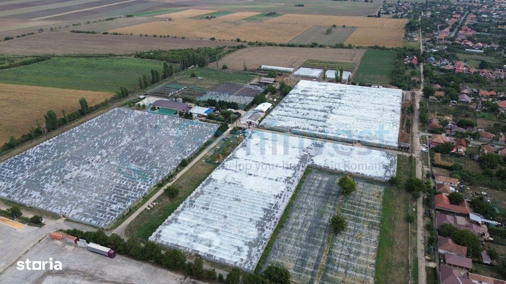 Teren 8,6 ha cu Sere,afacere horticola in Curtici,Arad,V4282,Gaminvest