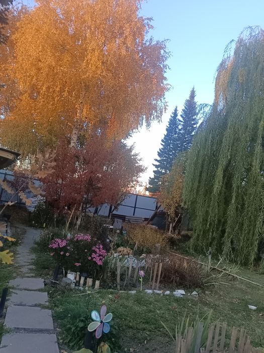 Продам зимнюю дачу в городе