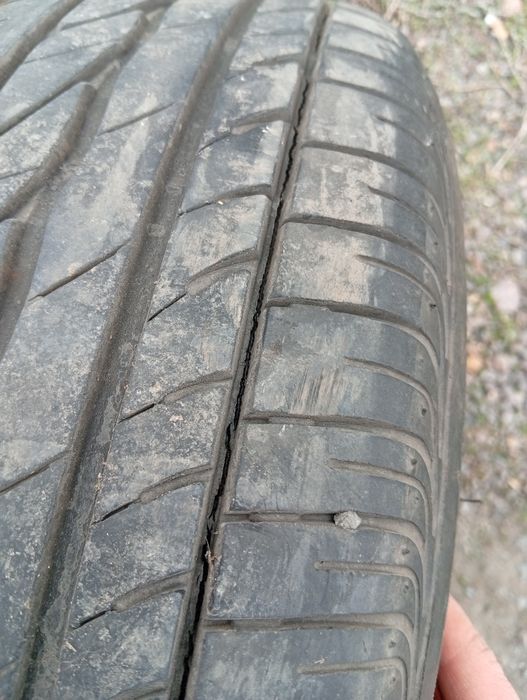 Продам шины.    .
