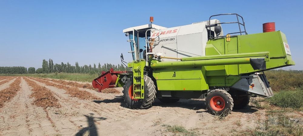 Klas dominator 130