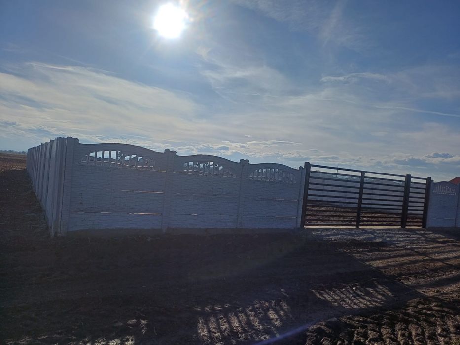 Vând teren in Băcia