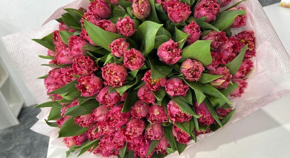 Тюльпаны голландский