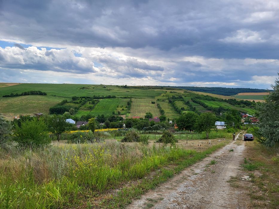 Teren intravilan 869 mp