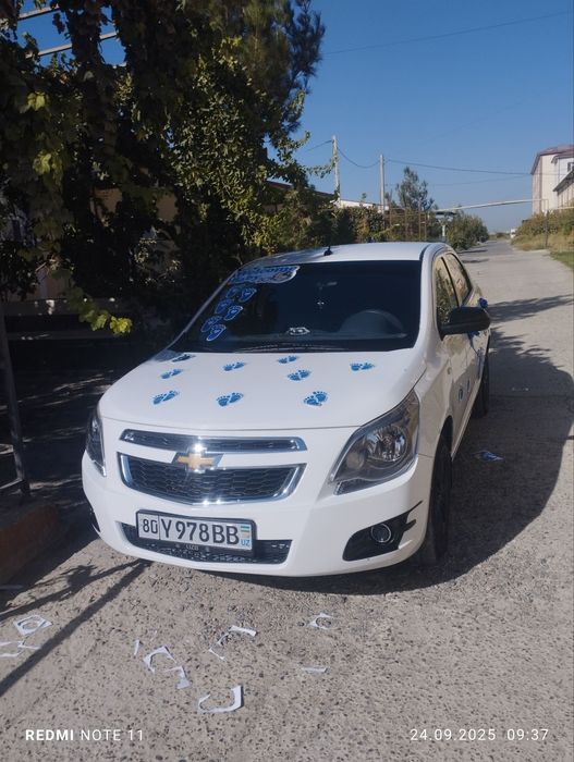 Coblt midnight sotiladi 2025