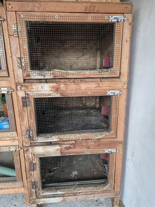 Cusca iepuri  3 compartimente