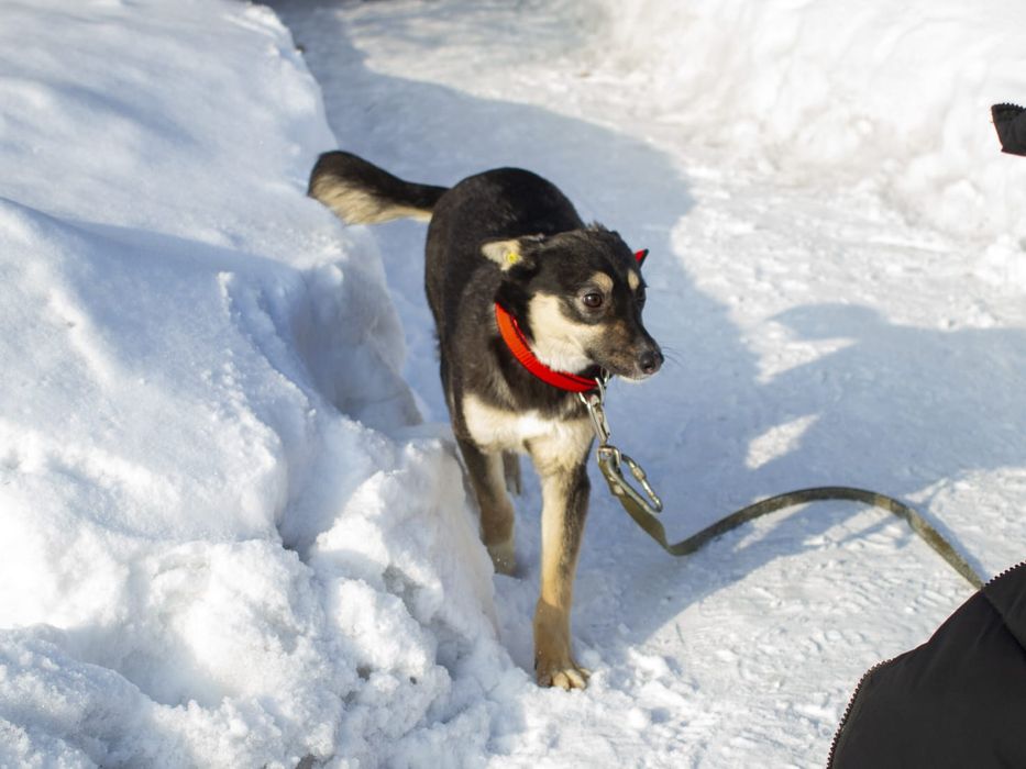 Забери меня домой