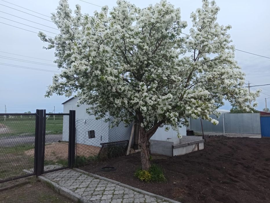 Продам дом г. Акколь ,Булавского дом 8