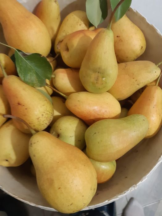 Проддам дачу с/о Химик