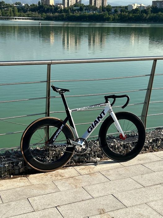 Трековый Фикс Giant omnium