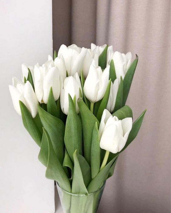 Тюльпаны РАСПРОДАЖА Астана, оптом и в розницу.