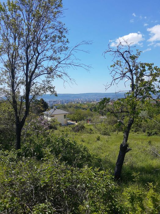 Продава се Парцел в Варна, Базар Левски - 2107 кв.м за 99 €/кв.м - Снимка #9