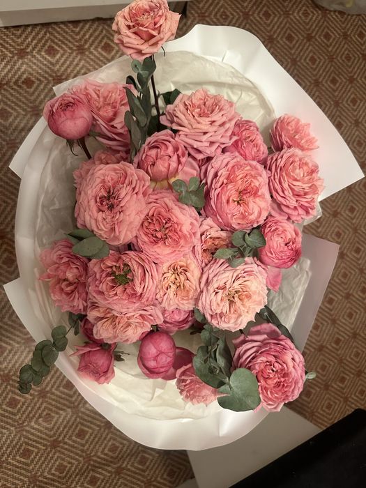 Пионовидные спрей розы сорта “julietta”