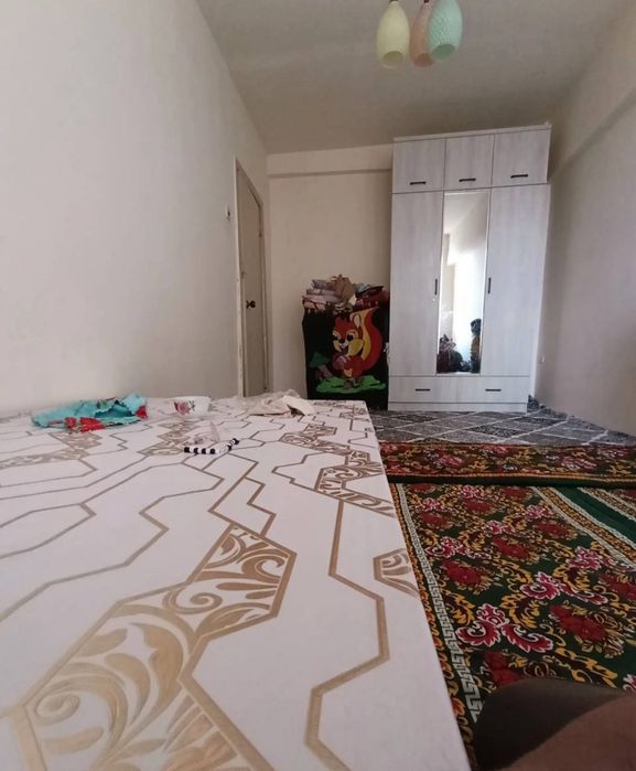 N6843 Olmazor tumani Qora qamish 2/4.   2/4/4