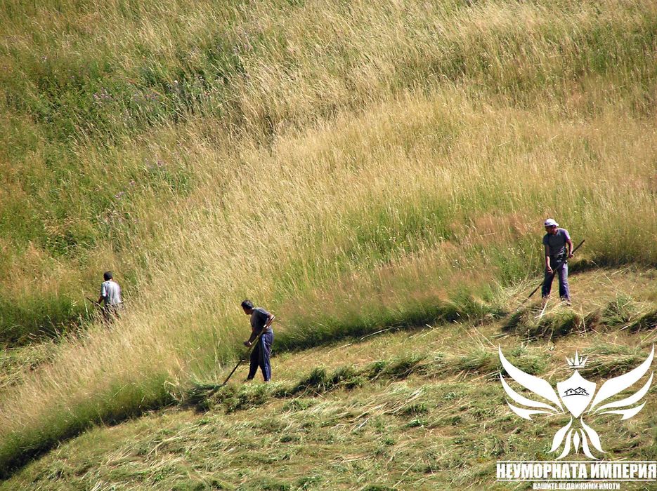 Продавам парцел УПИ 3000кв.м. в село Проглед, общ.Чепеларе