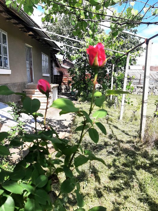 Къща в село Щръклево