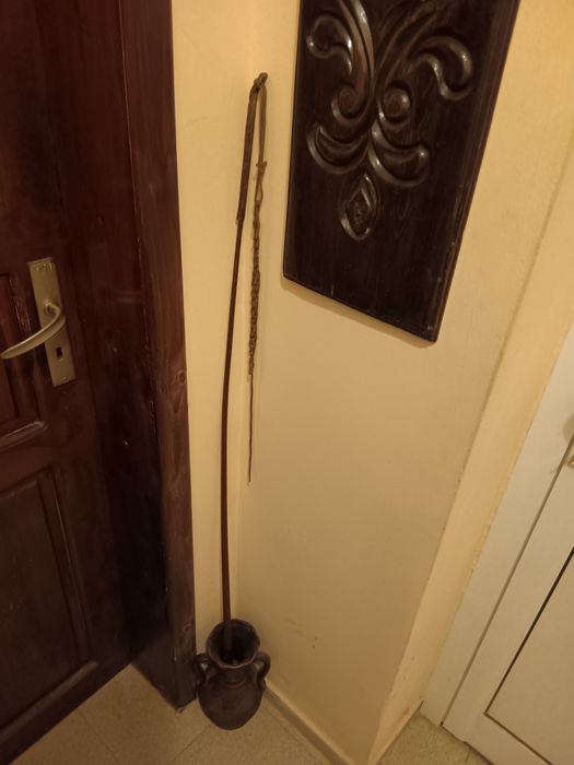 Камшик от колесница.