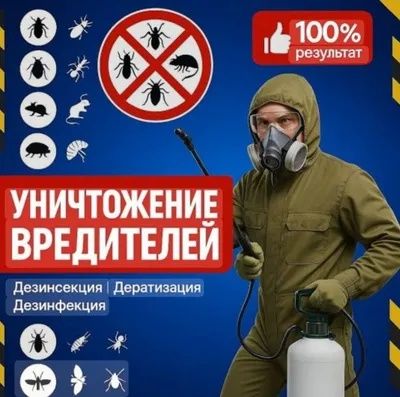 DIZINFEKSIYA xizmati sifatli va toza bajariladi 100%