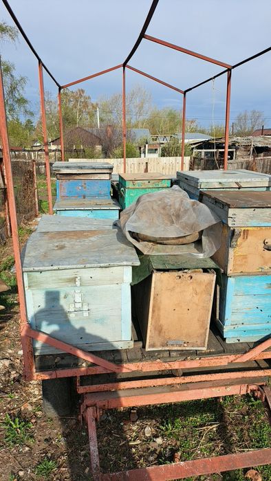 Продам прицеп для перевозки уликов.